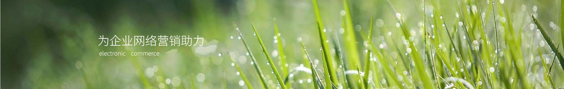 صĸ޹˾